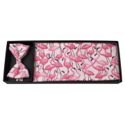  Flamingo Fun Cummerbund and Bow Tie Set